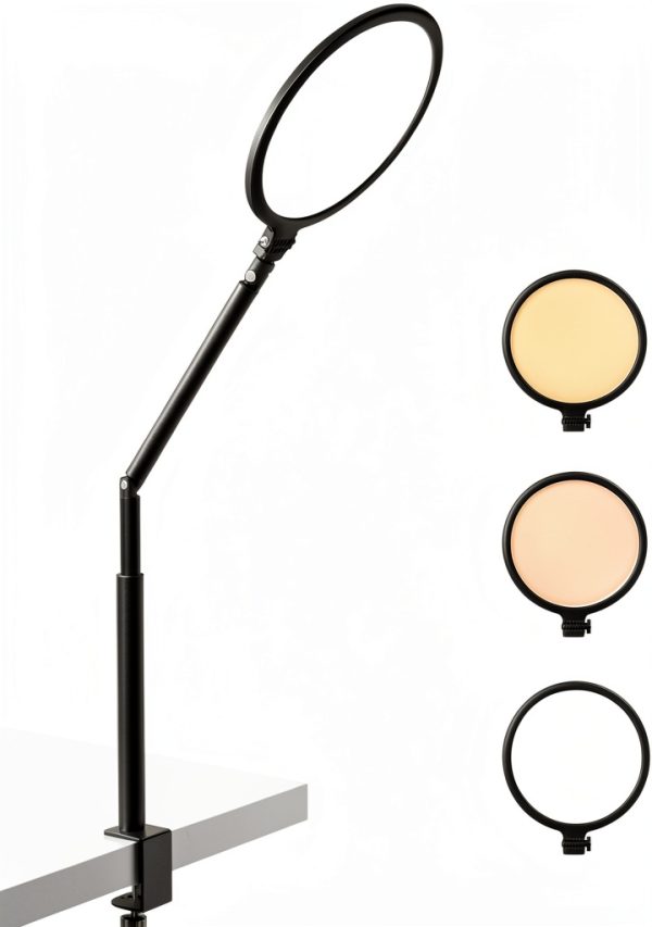 Weilisi Desk Lamp for Office Home-8