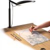 Weilisi Desk Lamp for Office Home-3