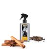Mens Body Spray Gift Set CORE 6 Scents 8oz Spray-2