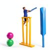 SUNGOOYUE Cricket Set for Kids-2